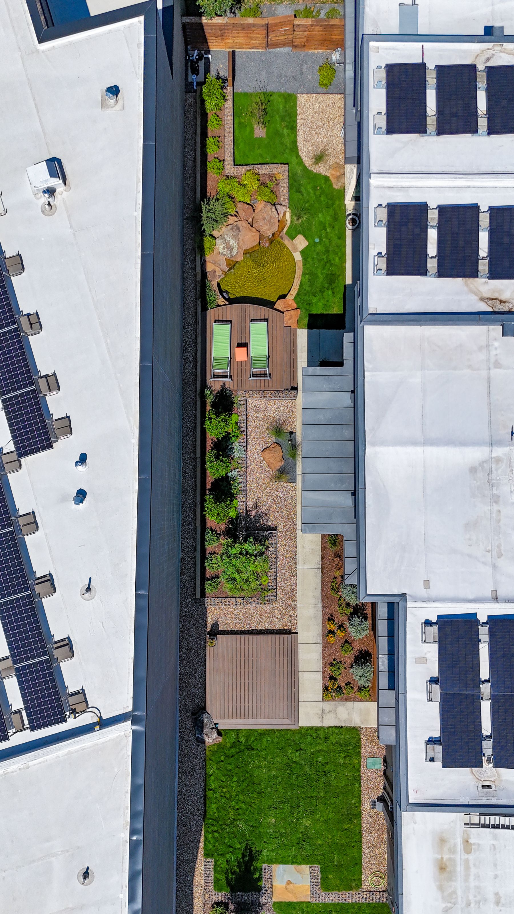 Ryan's Yard of the Week: Modern Urban Hippies 